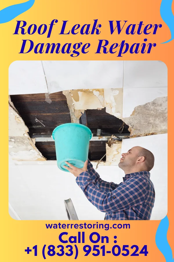 Roof Leak Water Damage Repair in Hamburg, AR